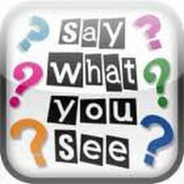 SAY WHAT YOU SEE logo