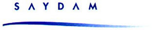 SAYDAM logo