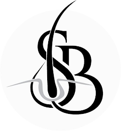 SB logo