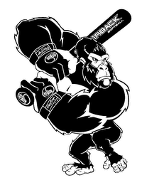 SB SILVERBACK SOFTBALL RAWLINGS EST. 1887 logo
