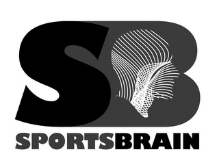 SB SPORTSBRAIN logo