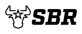 SBR logo
