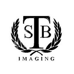 SBT IMAGING logo