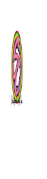 SC , SNOBBYCHICCSBOUTIQUE & TINGZ INC. logo