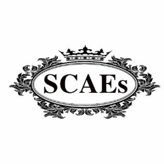 SCAES logo