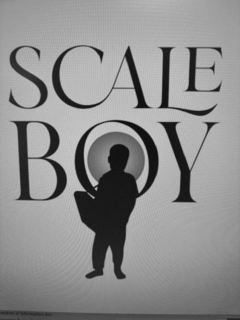 SCALE BOY logo