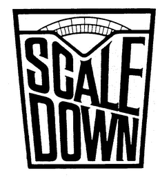 SCALE DOWN logo