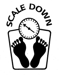 SCALE DOWN logo