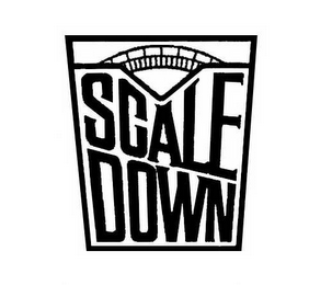 SCALE DOWN logo