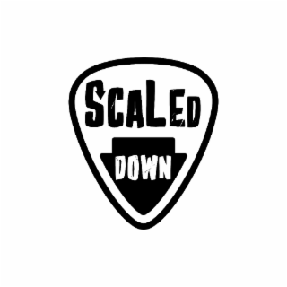 SCALED DOWN logo