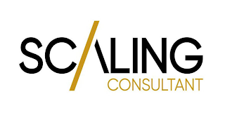 SCALING CONSULTANT logo