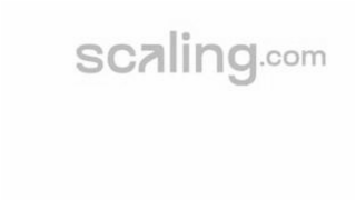 SCALING.COM logo