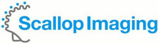 SCALLOP IMAGING logo