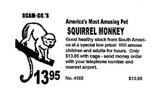 SCAM-CO.'S AMERICA'S MOST AMUSING PET SQUIRREL MONKEY GOOD HEALTHY STOCK FROM SOUTH AMERICA AT A SPECIAL LOW PRICE! WILL AMUSE CHILDREN AND ADULTS FOR HOURS.  ONLY $13.95 WITH CAGE - SEND MONEY ORDER WITH YOUR TELEPHONE NUMBER AND NEAREST AIRPORT.  1395 NO. 4185 $13.95 logo