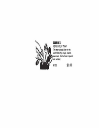 SCAM-CO.'S VENUS FLY TRAP THE MOST UNUSUAL PLANT IN THE WORLD EATS FLYS, BUGS, INSECTS, EVEN MEAT.  INSTRUCTIONS & SPECIAL SOIL INCLUDED #202 $1.00 logo