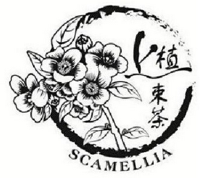 SCAMELLIA logo