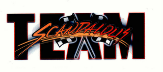 SCANDALOUS TEAM logo