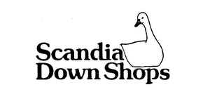 SCANDIA DOWN SHOPS logo