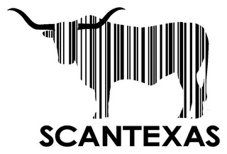 SCANTEXAS logo