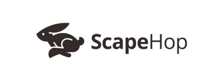SCAPEHOP logo