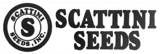 SCATTINI S SEEDS, INC. SCATTINI SEEDS logo