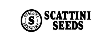 SCATTINI SEEDS S SCATTINI SEEDS, INC. logo
