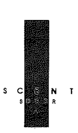SCENT SHEER logo