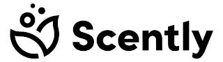 SCENTLY logo