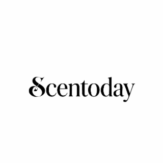 SCENTODAY logo