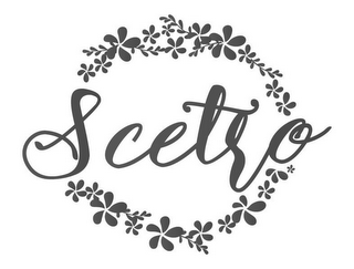 SCETRO logo