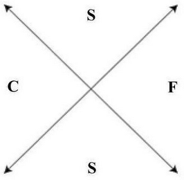 SCFS logo
