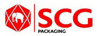 SCG PACKAGING logo