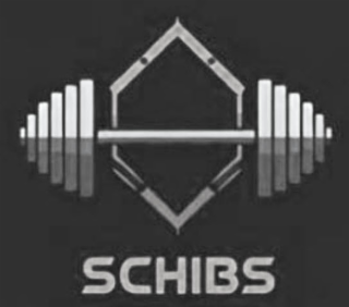 SCHIBS logo