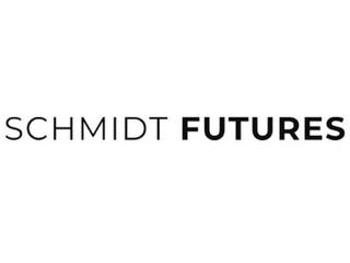 SCHMIDT FUTURES logo
