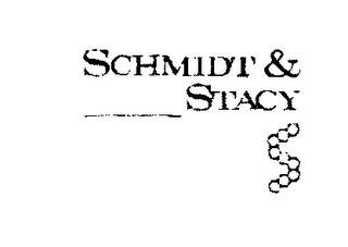 SCHMIDT & STACY logo