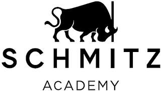 SCHMITZ ACADEMY logo