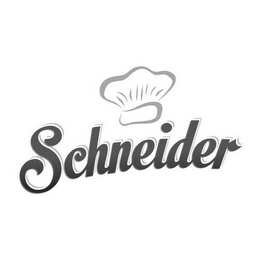 SCHNEIDER logo