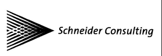 SCHNEIDER CONSULTING logo