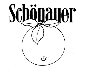 SCHONAUER logo