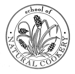 SCHOOL OF NATURAL COOKERY logo