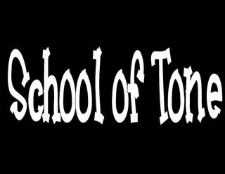 SCHOOL OF TONE logo