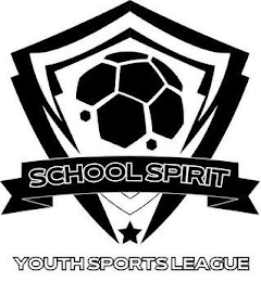 SCHOOL SPIRIT YOUTH SPORTS LEAGUE logo