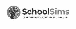 SCHOOLSIMS EXPERIENCE IS THE BEST TEACHER logo