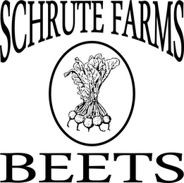SCHRUTE FARMS BEETS logo