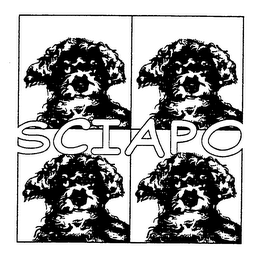 SCIAPO logo
