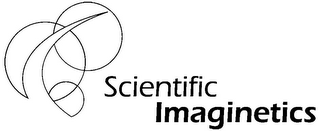 SCIENTIFIC IMAGINETICS logo