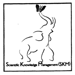SCIENTIFIC KNOWLEDGE MANAGEMENT (SKM) logo