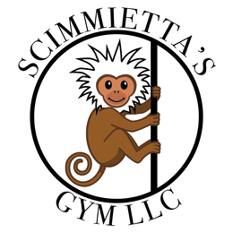 SCIMMIETTA'S GYM LLC logo