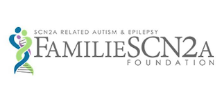 SCN2A RELATED AUTISM & EPILEPSY FAMILIESCN2A FOUNDATION logo