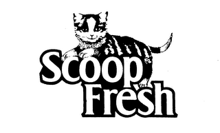 SCOOP FRESH logo
